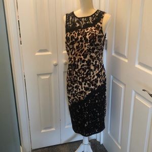 Thalia SODI animal print leopard dress with black lace size medium brown black
